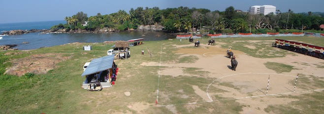 Elephant Polo